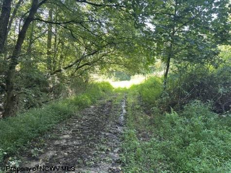 0 Route 19 Highway Lost Creek WV 26385
