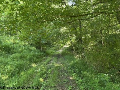 0 Route 19 Highway Lost Creek WV 26385