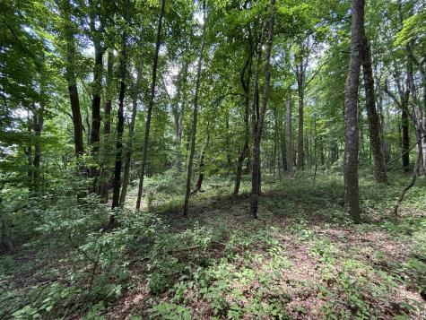0 Halleck Road Morgantown WV 26508