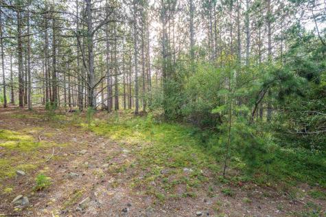 11 Crosscut Way Davis WV 26260