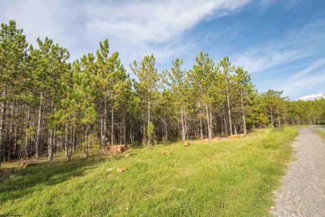 11 Crosscut Way Davis WV 26260