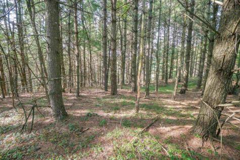 11 Crosscut Way Davis WV 26260