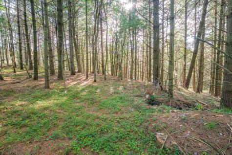 11 Crosscut Way Davis WV 26260