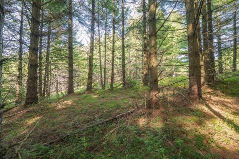 11 Crosscut Way Davis WV 26260