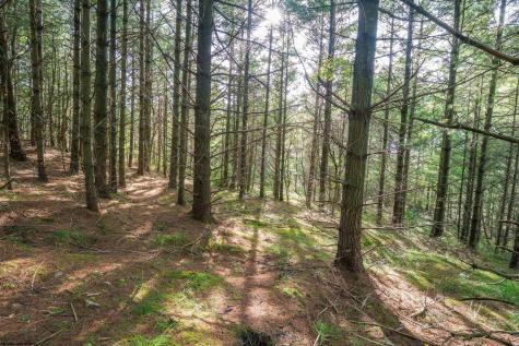 11 Crosscut Way Davis WV 26260