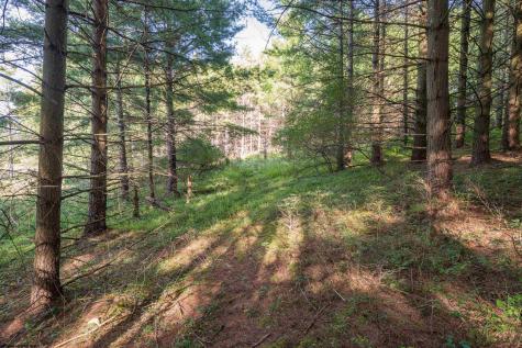 11 Crosscut Way Davis WV 26260