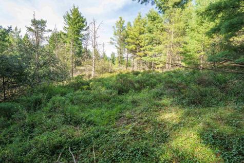 11 Crosscut Way Davis WV 26260