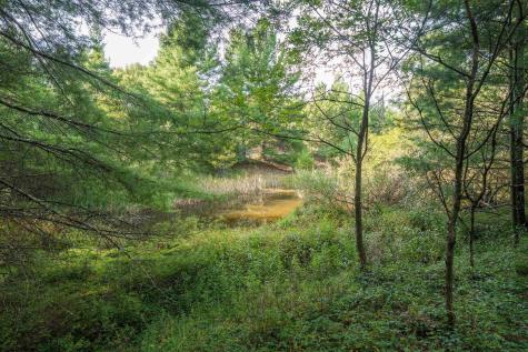 11 Crosscut Way Davis WV 26260