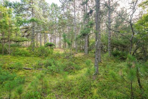 11 Crosscut Way Davis WV 26260