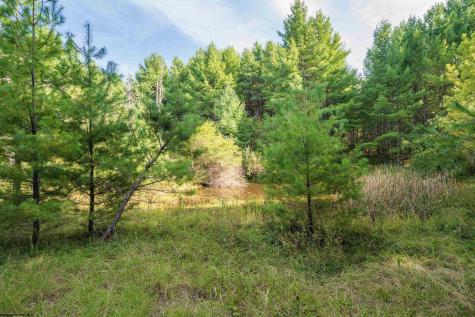 11 Crosscut Way Davis WV 26260