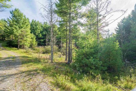 11 Crosscut Way Davis WV 26260