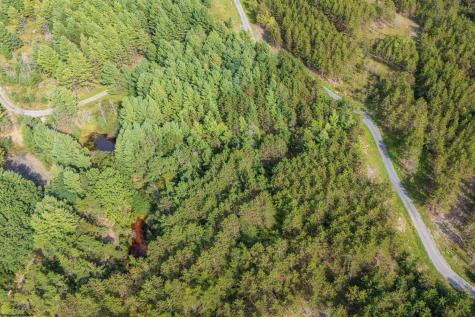 11 Crosscut Way Davis WV 26260