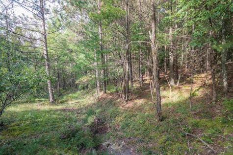 11 Crosscut Way Davis WV 26260