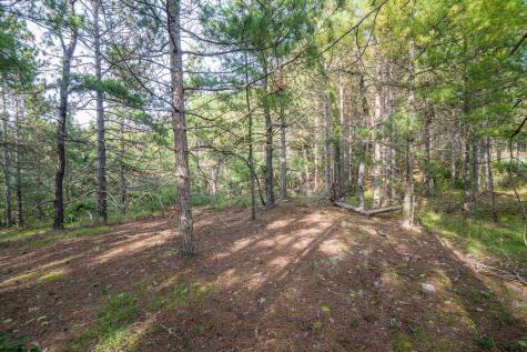 11 Crosscut Way Davis WV 26260