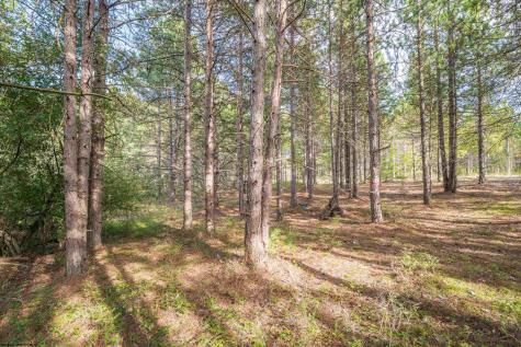 11 Crosscut Way Davis WV 26260