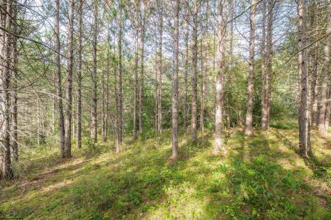 11 Crosscut Way Davis WV 26260