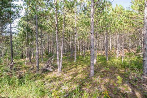 11 Crosscut Way Davis WV 26260