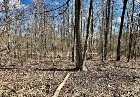 Lot 5 Brooklyn Way Moatsville WV 26405