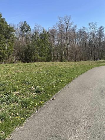 17 Belgian Estates Bruceton Mills WV 26525
