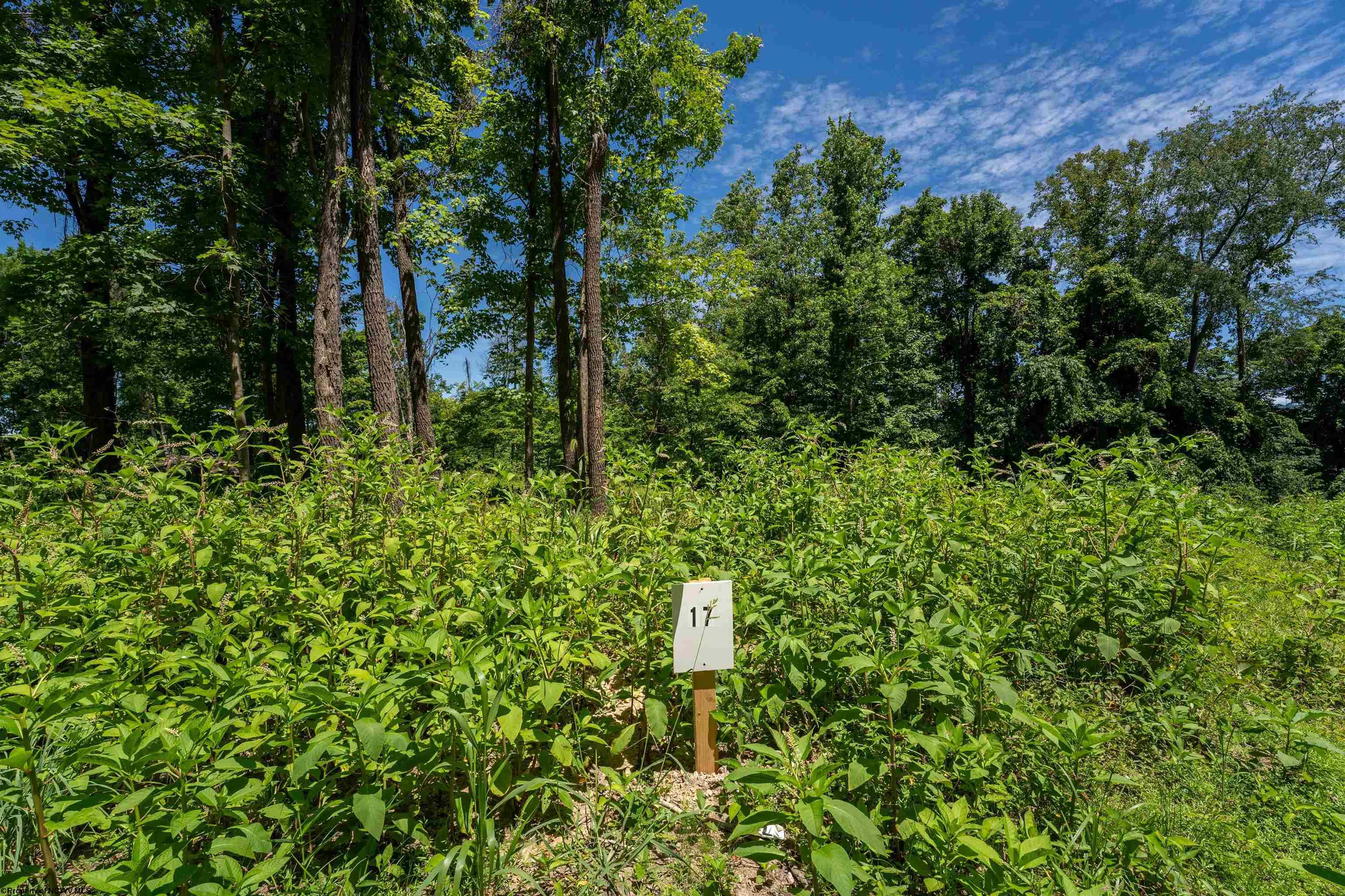 17 Bowers Lane Morgantown WV 26508