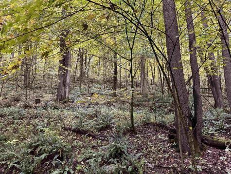 6 Deckers Trail Road Masontown WV 26542