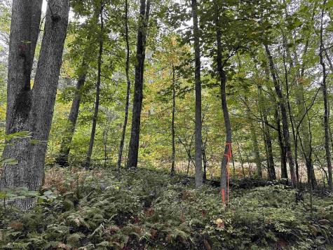 6 Deckers Trail Road Masontown WV 26542