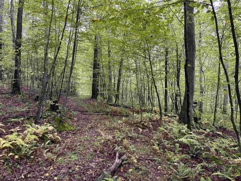 6 Deckers Trail Road Masontown WV 26542