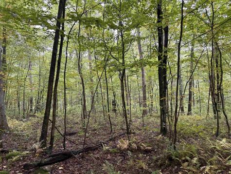 6 Deckers Trail Road Masontown WV 26542