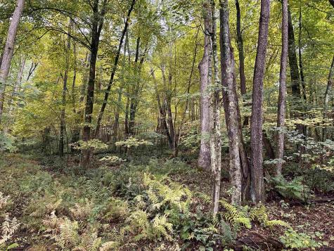 6 Deckers Trail Road Masontown WV 26542