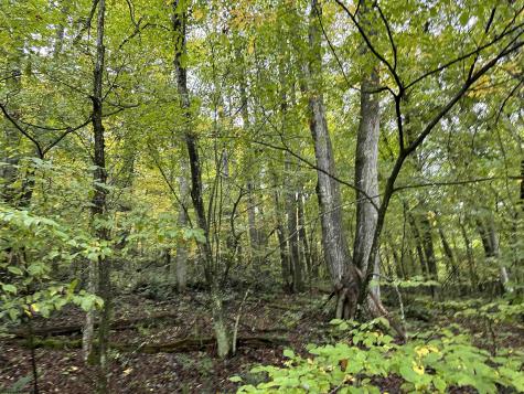 6 Deckers Trail Road Masontown WV 26542