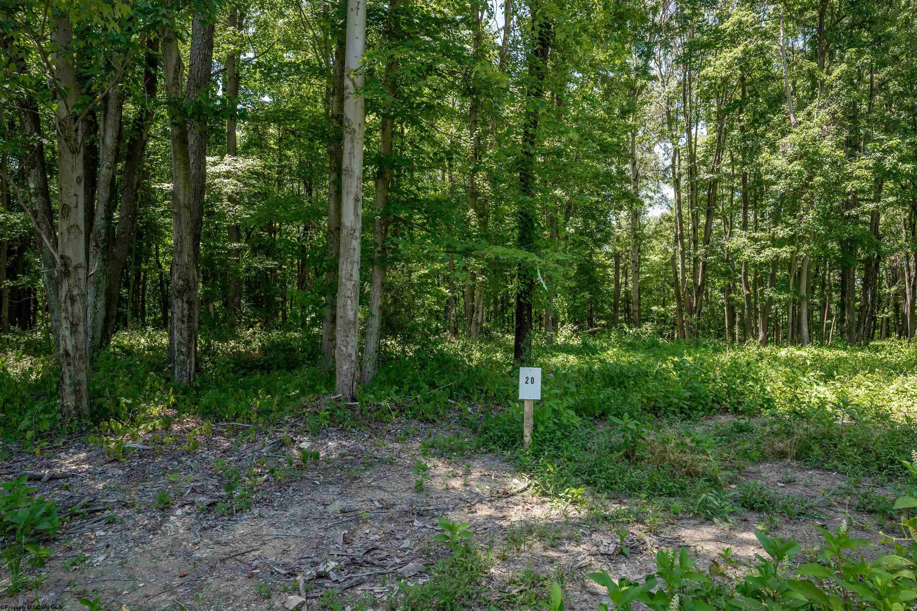 20 Bowers Lane Morgantown WV 26508