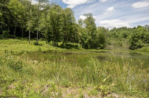 19 Lake Island Drive Belington WV 26250