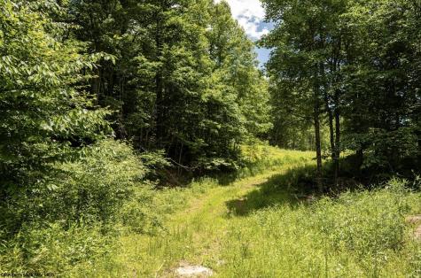 19 Lake Island Drive Belington WV 26250