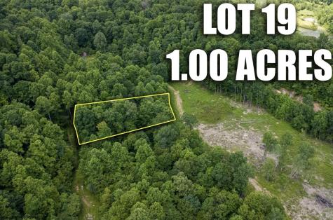 19 Lake Island Drive Belington WV 26250