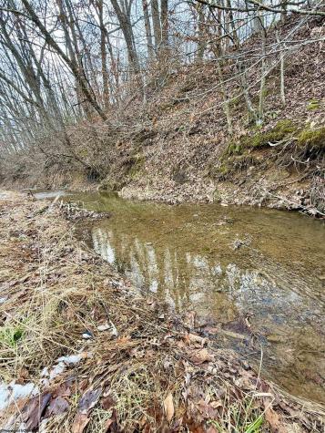 407 Beech Hollow Road Bridgeport WV 26330