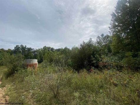 0 Helens Run Road Worthington WV 26591