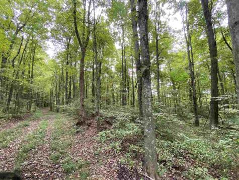0 Helens Run Road Worthington WV 26591