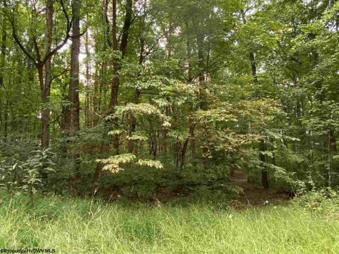 0 Helens Run Road Worthington WV 26591