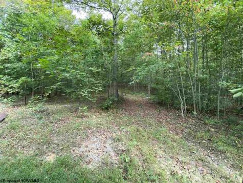 0 Helens Run Road Worthington WV 26591