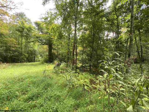 0 Helens Run Road Worthington WV 26591