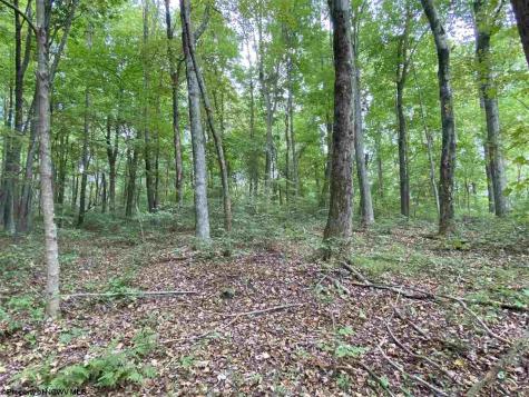 0 Helens Run Road Worthington WV 26591
