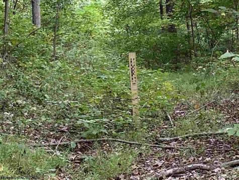 0 Helens Run Road Worthington WV 26591
