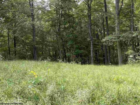 0 Helens Run Road Worthington WV 26591