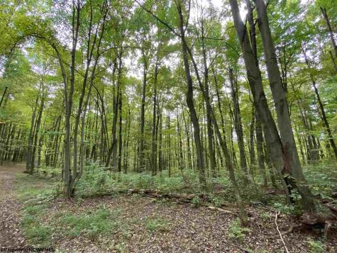 0 Helens Run Road Worthington WV 26591