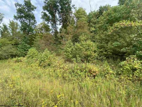 0 Helens Run Road Worthington WV 26591