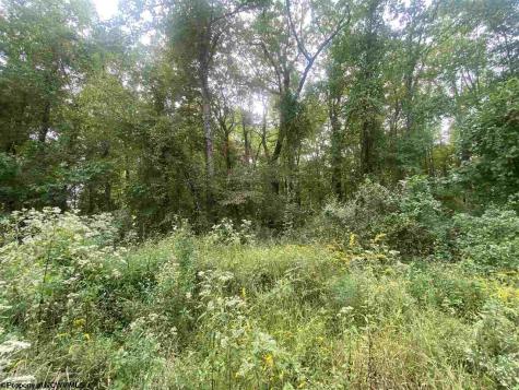 0 Helens Run Road Worthington WV 26591