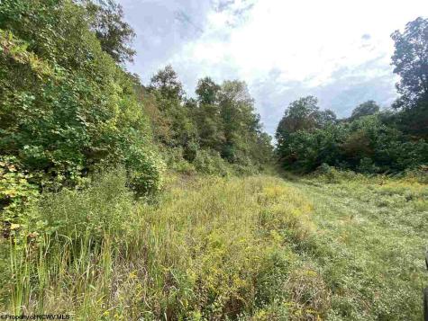0 Helens Run Road Worthington WV 26591