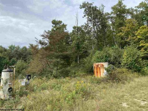 0 Helens Run Road Worthington WV 26591