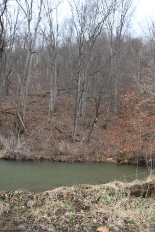 1155 Price Run Road Webster Springs WV 26288