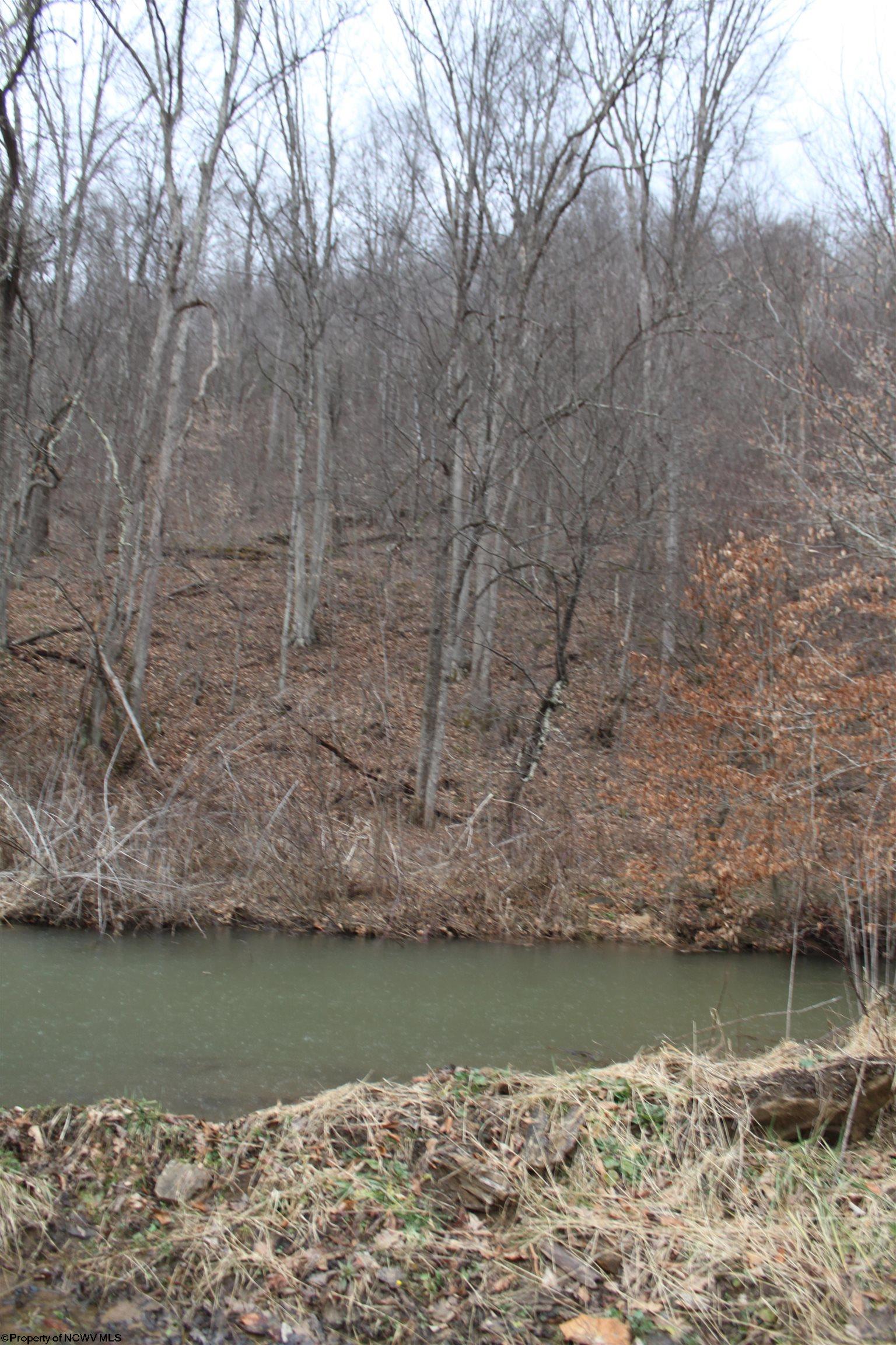 1155 Price Run Road Webster Springs WV 26288